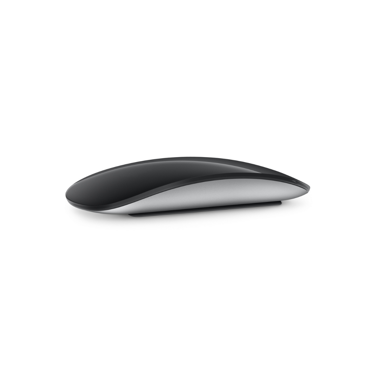 Touch Mouse Negro